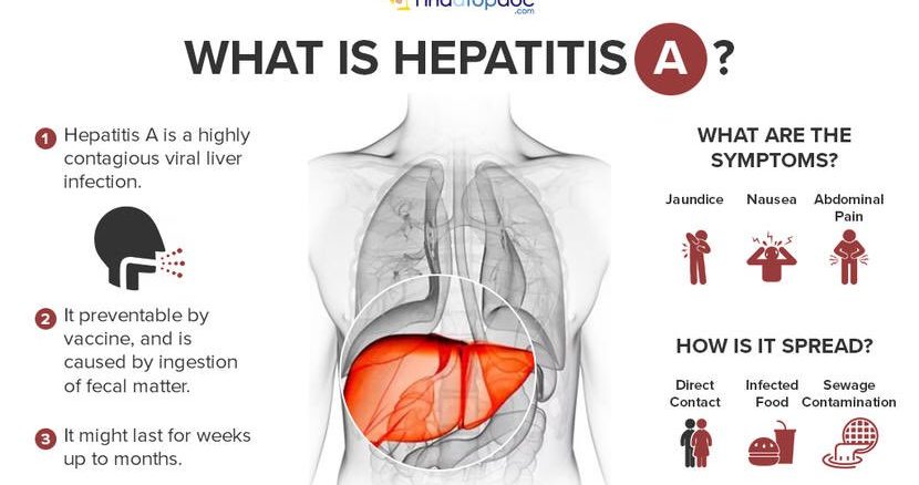 Hepatitis A Gloveclinic